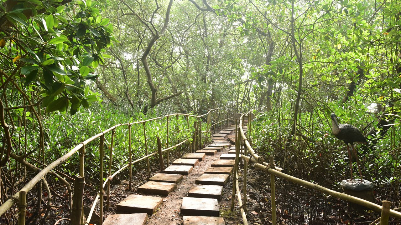 Bird Sanctuary